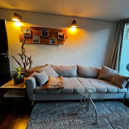 Terrassenwohnung Mit Toller Aussicht & Zentrumsnah Hornberg Eksteriør billede