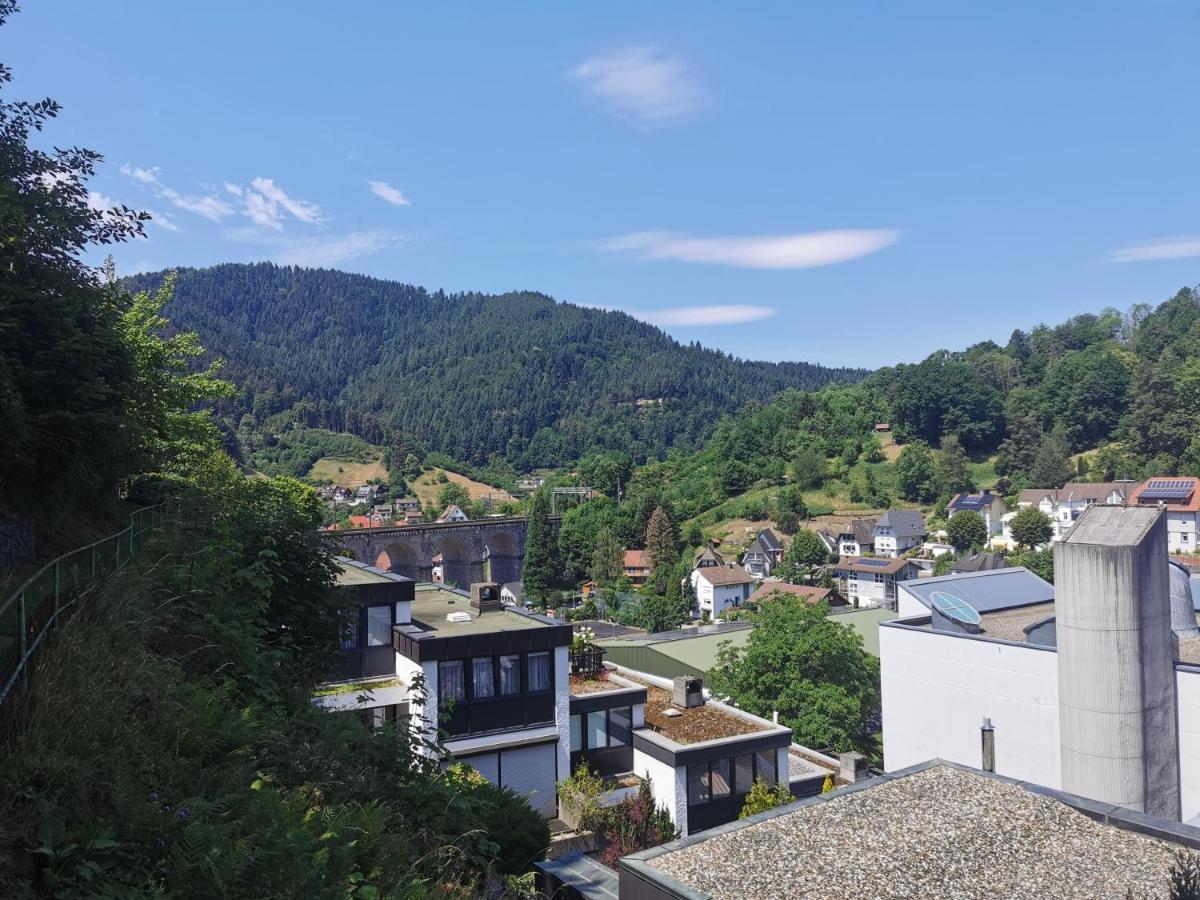 Terrassenwohnung Mit Toller Aussicht & Zentrumsnah Hornberg Eksteriør billede