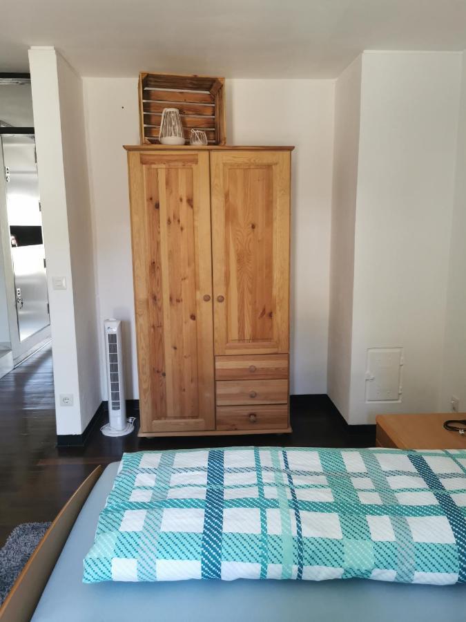 Terrassenwohnung Mit Toller Aussicht & Zentrumsnah Hornberg Eksteriør billede