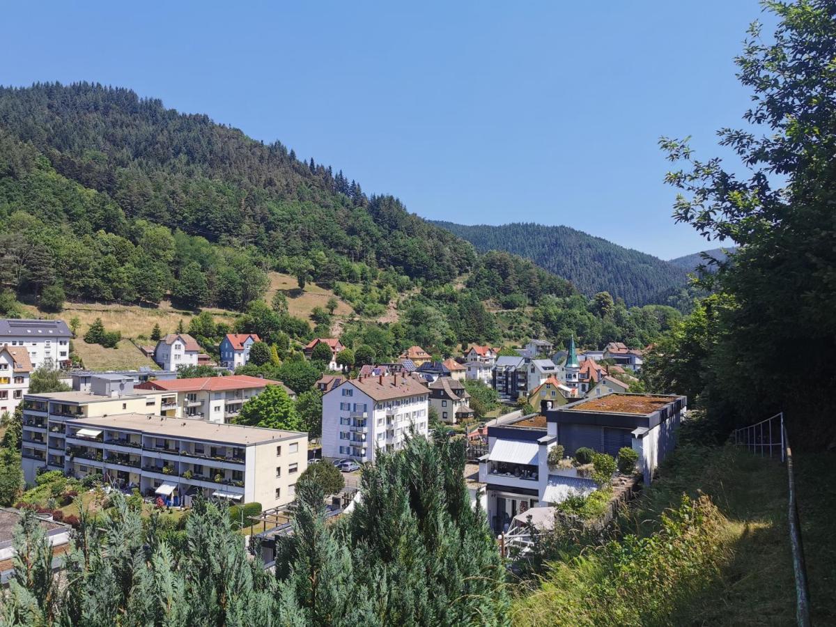 Terrassenwohnung Mit Toller Aussicht & Zentrumsnah Hornberg Eksteriør billede
