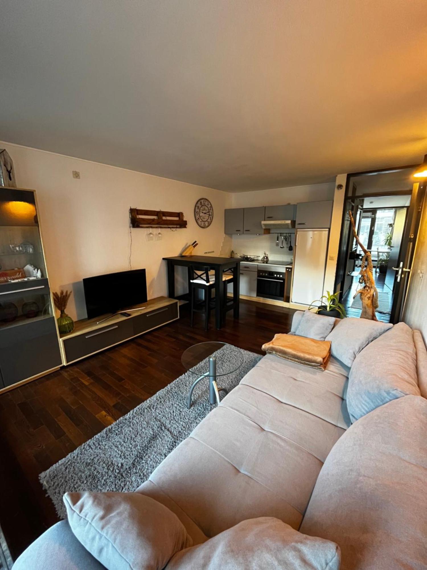 Terrassenwohnung Mit Toller Aussicht & Zentrumsnah Hornberg Eksteriør billede